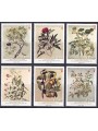 SMOM 2015 Nature and art 6v MNH**