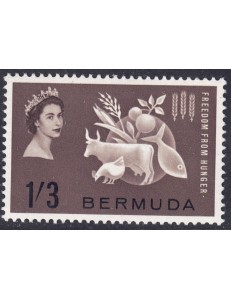 BERMUDA 1963 Campagna contro la fame MNH**
