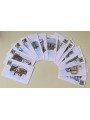 ITALY 1984/85 Collection of 13 postcards for philatelic offices