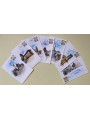 ITALY 1986 Collection of 7 postcards for philatelic offices