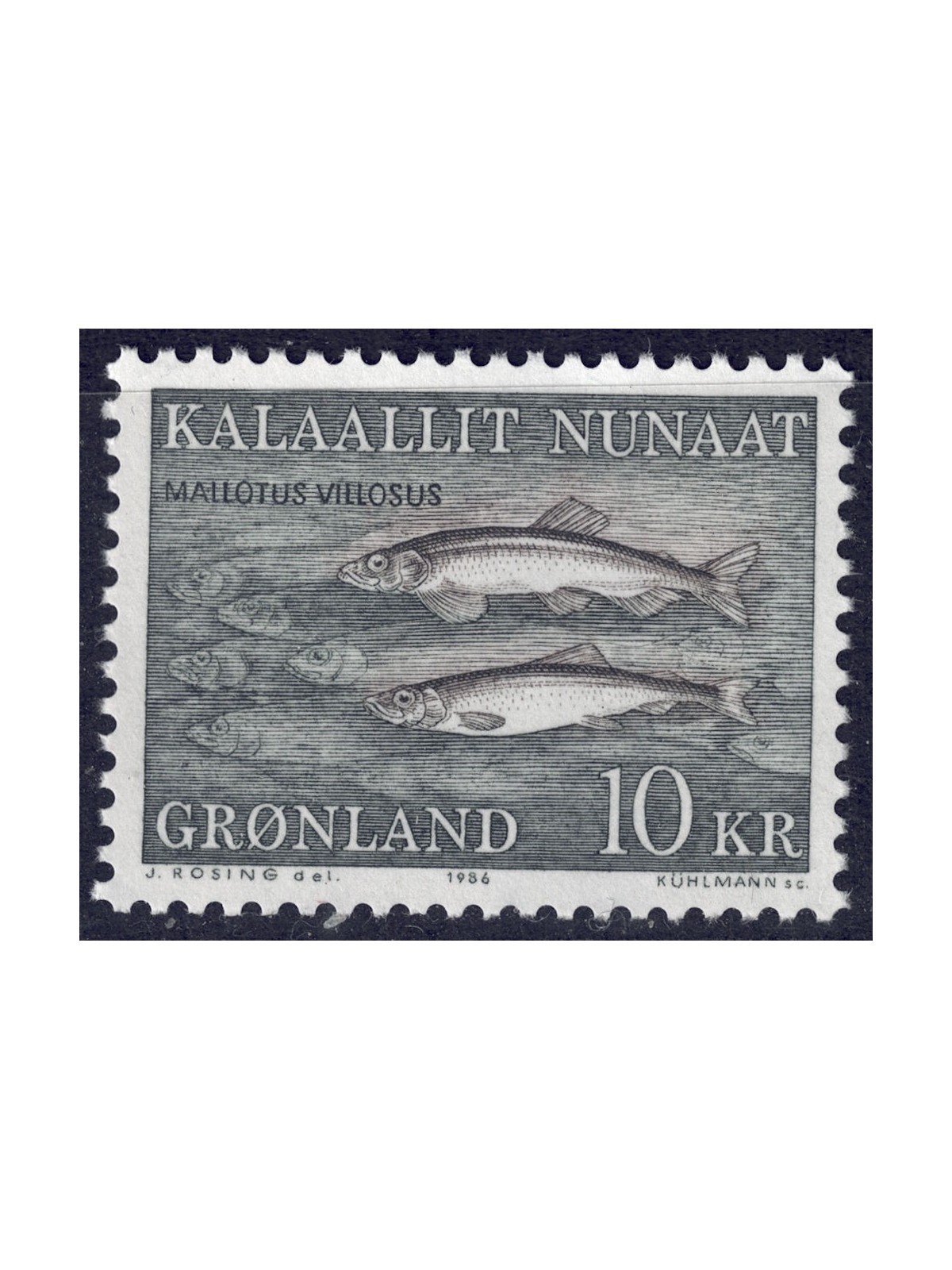 GROENLANDIA 1986 Fauna (pesci) MNH**