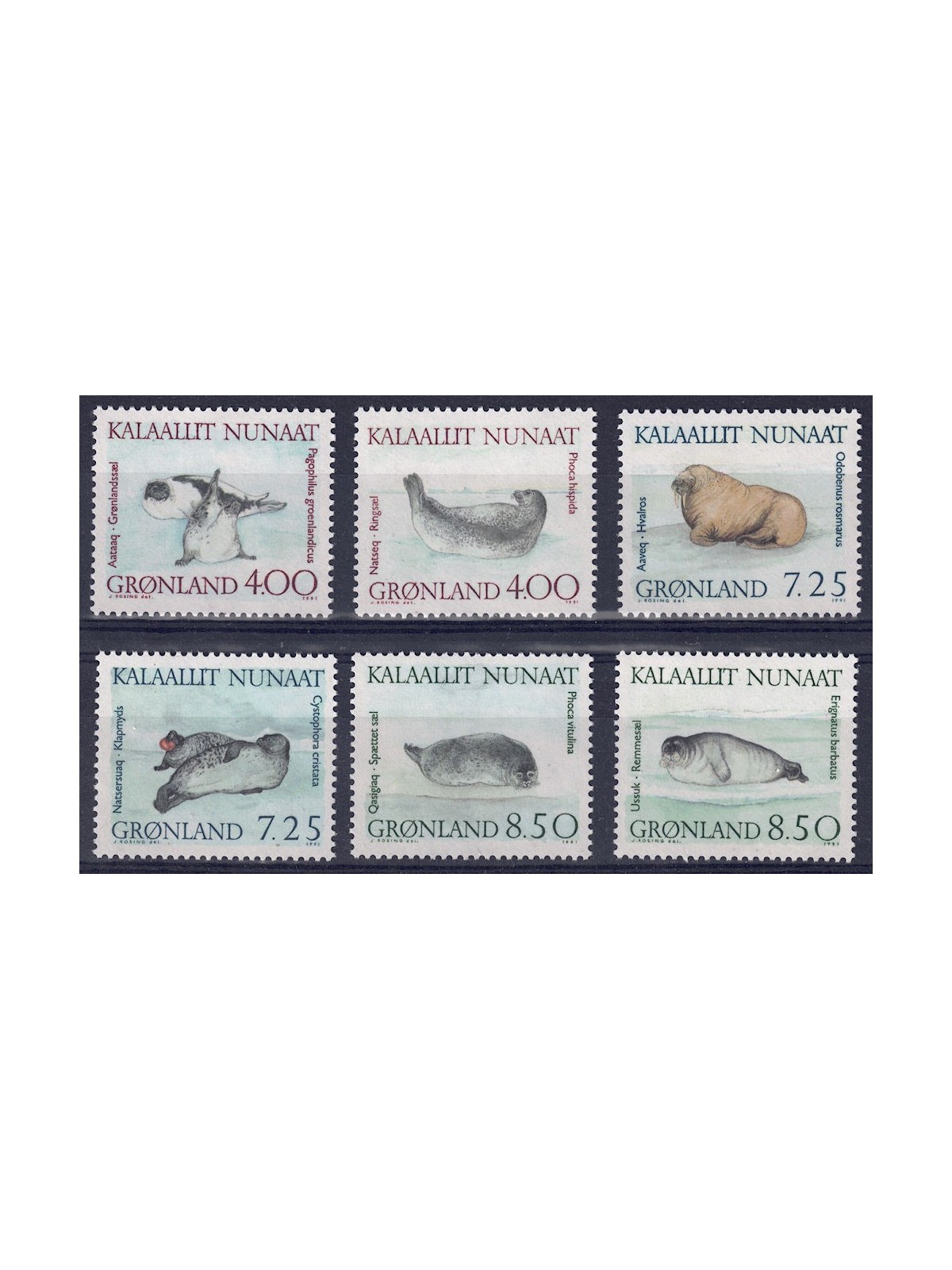 GREENLAND 1991 Marine fauna (seals) 6v MNH**