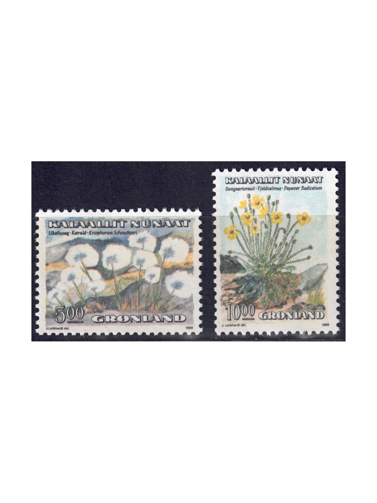 GREENLAND 1989 Flora (wild flowers) 2v MNH**