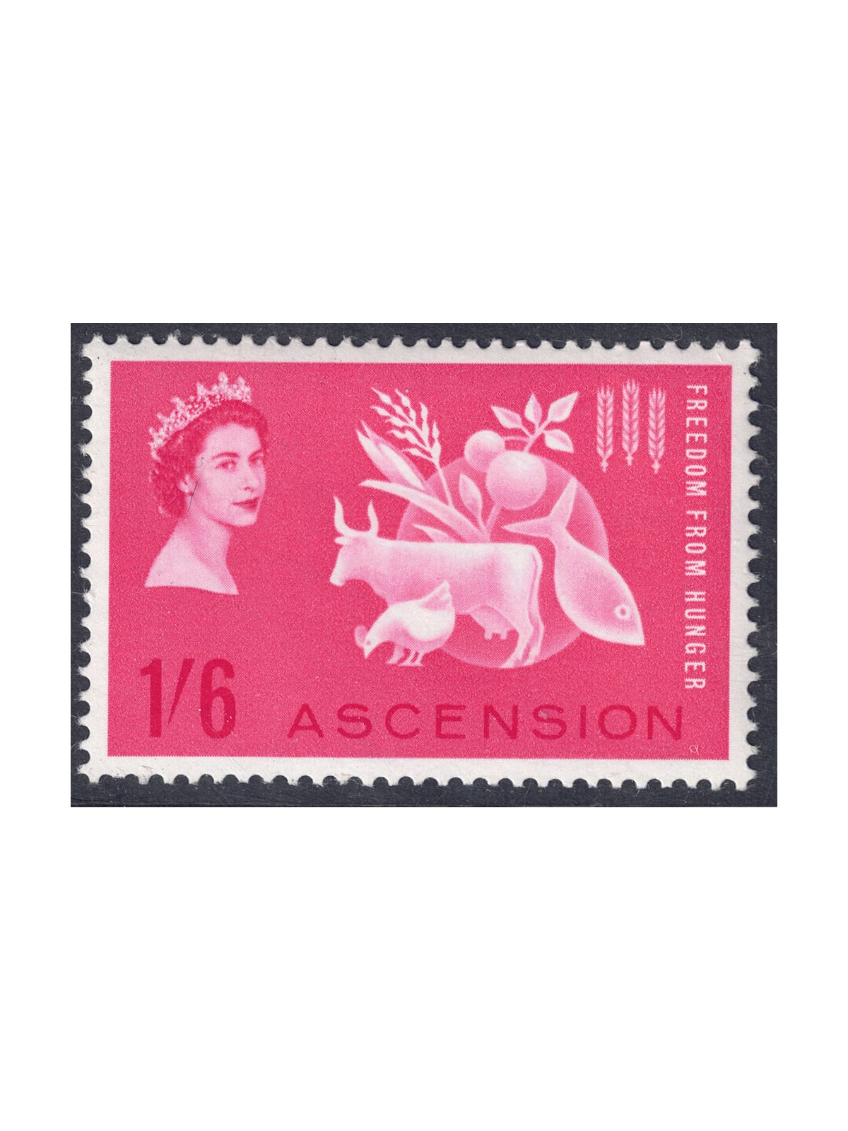 ASCENSION 1963 Campagna contro la fame MNH**