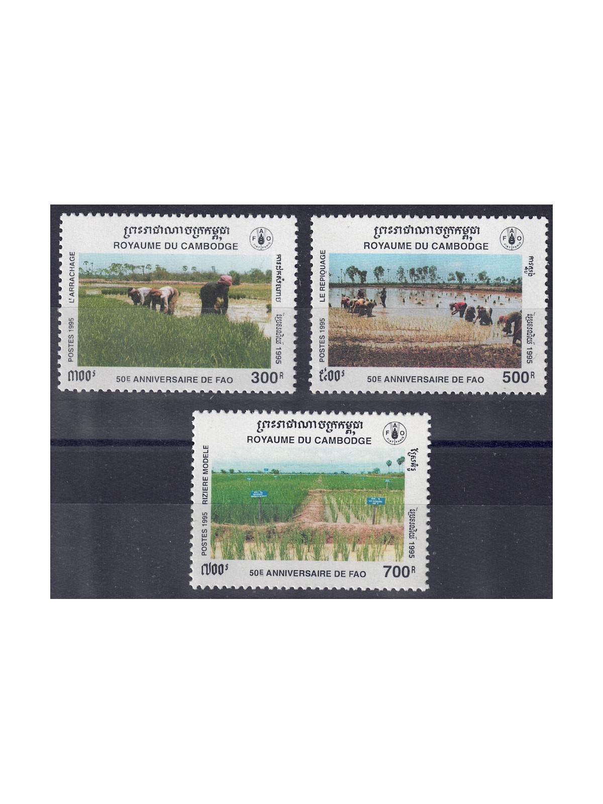 CAMBODIA 1995 FAO Anniversary 3v MNH**