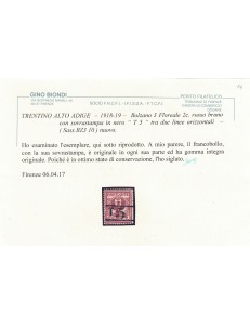 TRENTINO (BZ3) 1918-19 Floreale 2c rosso bruno (T con cifra orizzontale) MNH** ©