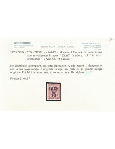 TRENTINO (BZ3) 1918-19 Floral 2c (TAXE and horizontal figures) MNH** ©