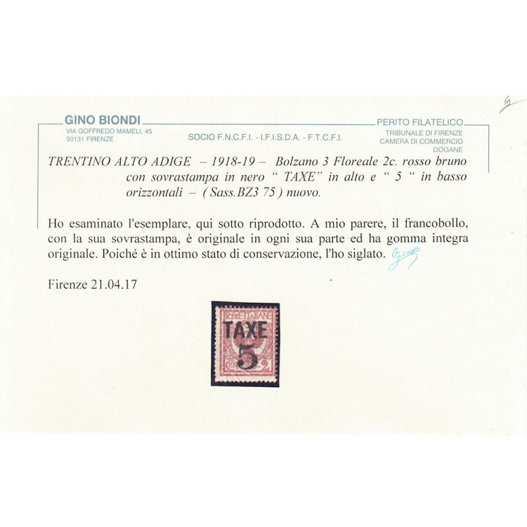 TRENTINO (BZ3) 1918-19 Floreale 2c (TAXE e cifre orizz.) MNH** ©