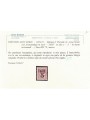 TRENTINO (BZ3) 1918-19 Floreale 2c (TAXE e cifre orizz.) MNH** ©