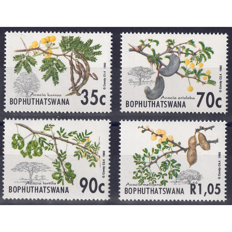 BOPHUTHATSWANA 1992 Flora (acacias) 4v MNH**