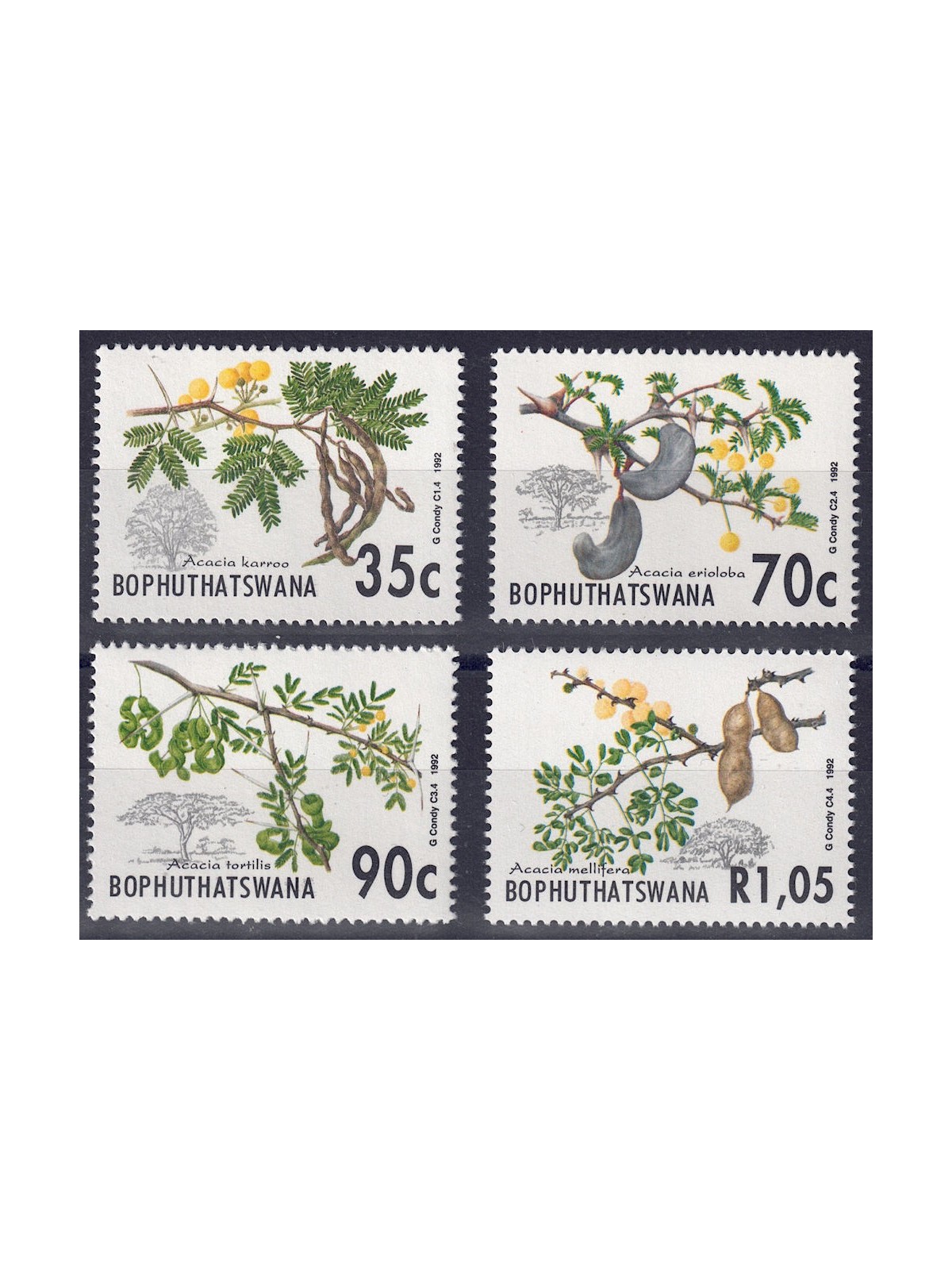 BOPHUTHATSWANA 1992 Flora (acacie) 4v MNH**