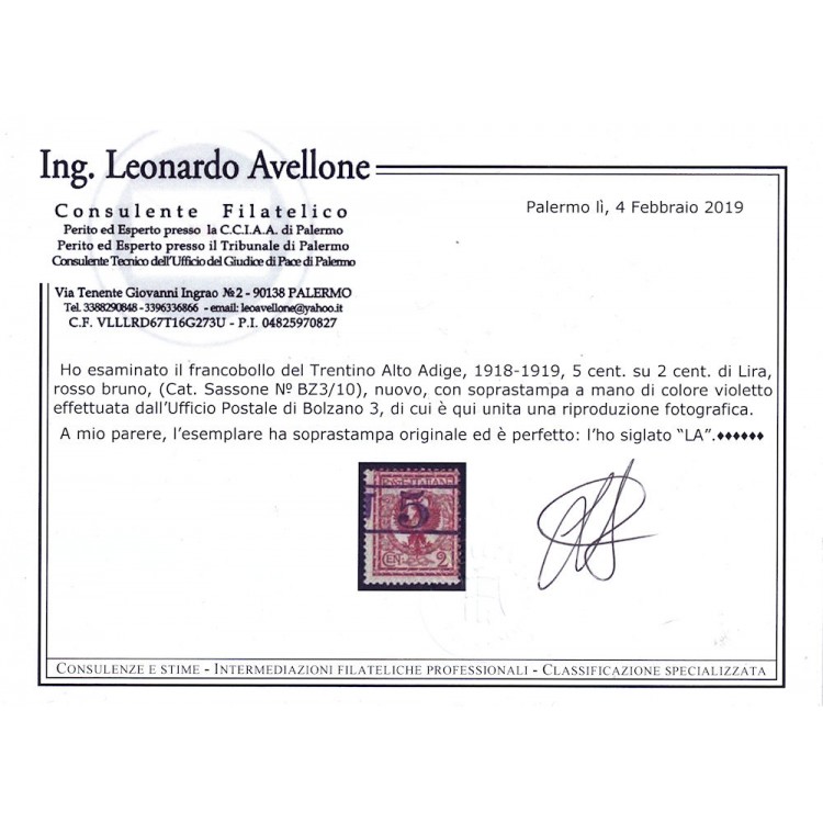 TRENTINO (BZ3) 1918-19 Floreale 2c rosso bruno (T con cifra orizzontale violetto) MH* ©