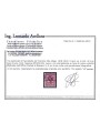 TRENTINO (BZ3) 1918-19 Floreale 2c rosso bruno (T con cifra orizzontale violetto) MH* ©