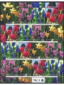 SAN MARINO 2010 Flowers m/s MNH**