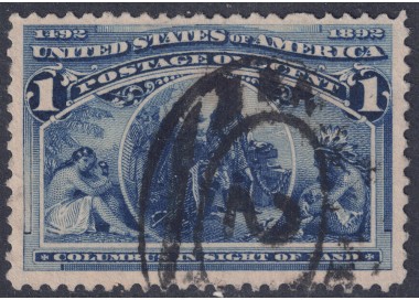 USA 1893 Esposizione Mondiale Colombiana (1c azzurro) us