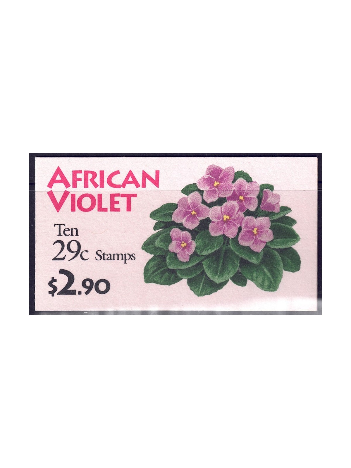 USA 1993 Violetta africana (copertina rosa) LB MNH**