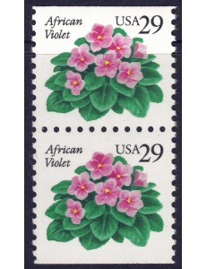 USA 1993 Violetta africana (□ orizz.) 2v MNH**