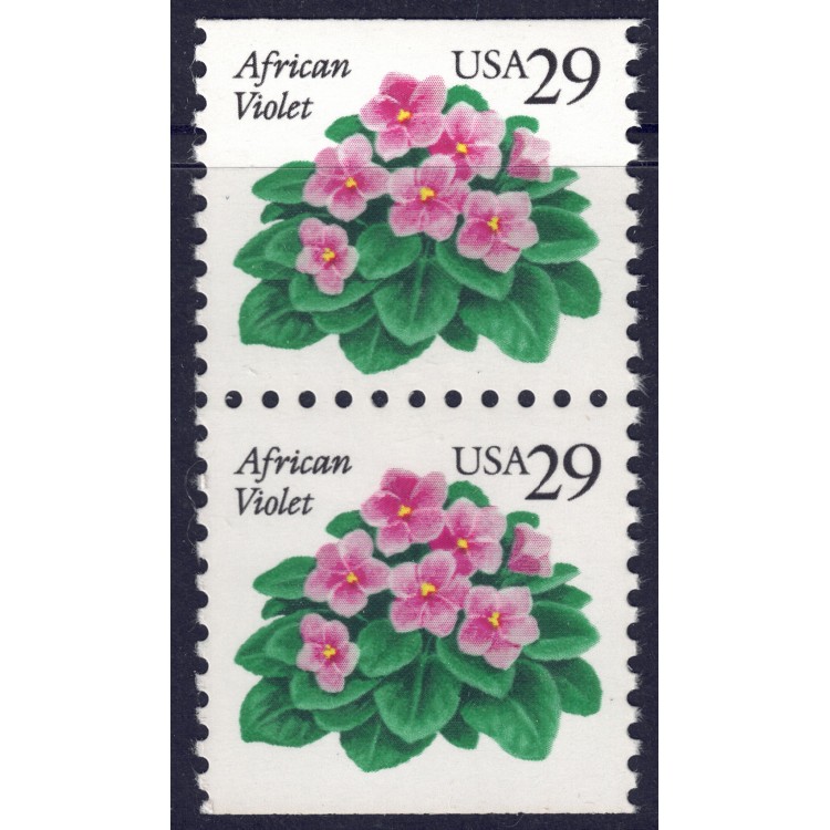USA 1993 Violetta africana (□ orizz.) 2v MNH**