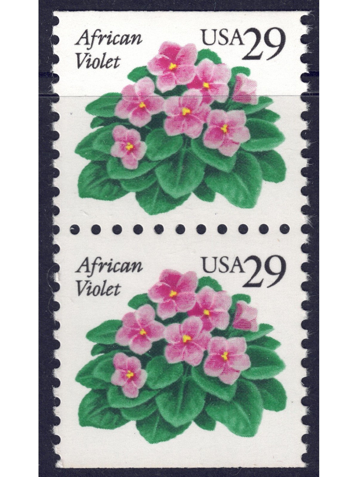 USA 1993 Violetta africana (□ orizz.) 2v MNH**