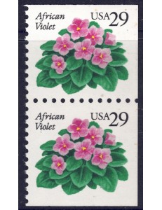 USA 1993 Violetta africana (□ lati contigui) 2v MNH**