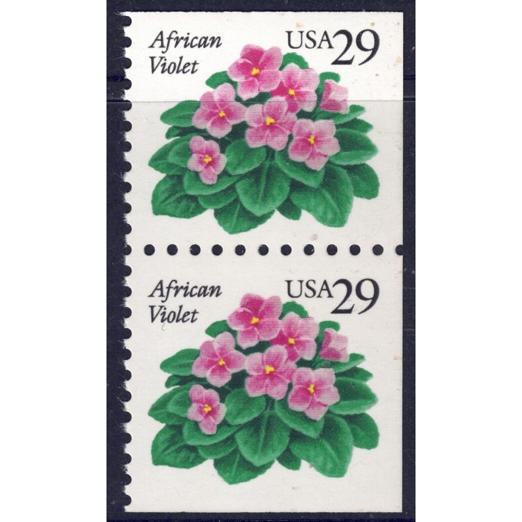 USA 1993 Violetta africana (□ lati contigui) 2v MNH**