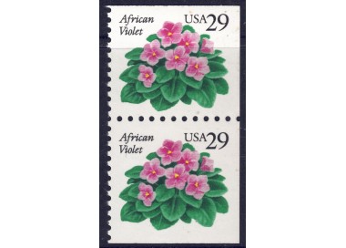 USA 1993 Violetta africana (□ lati contigui) 2v MNH**
