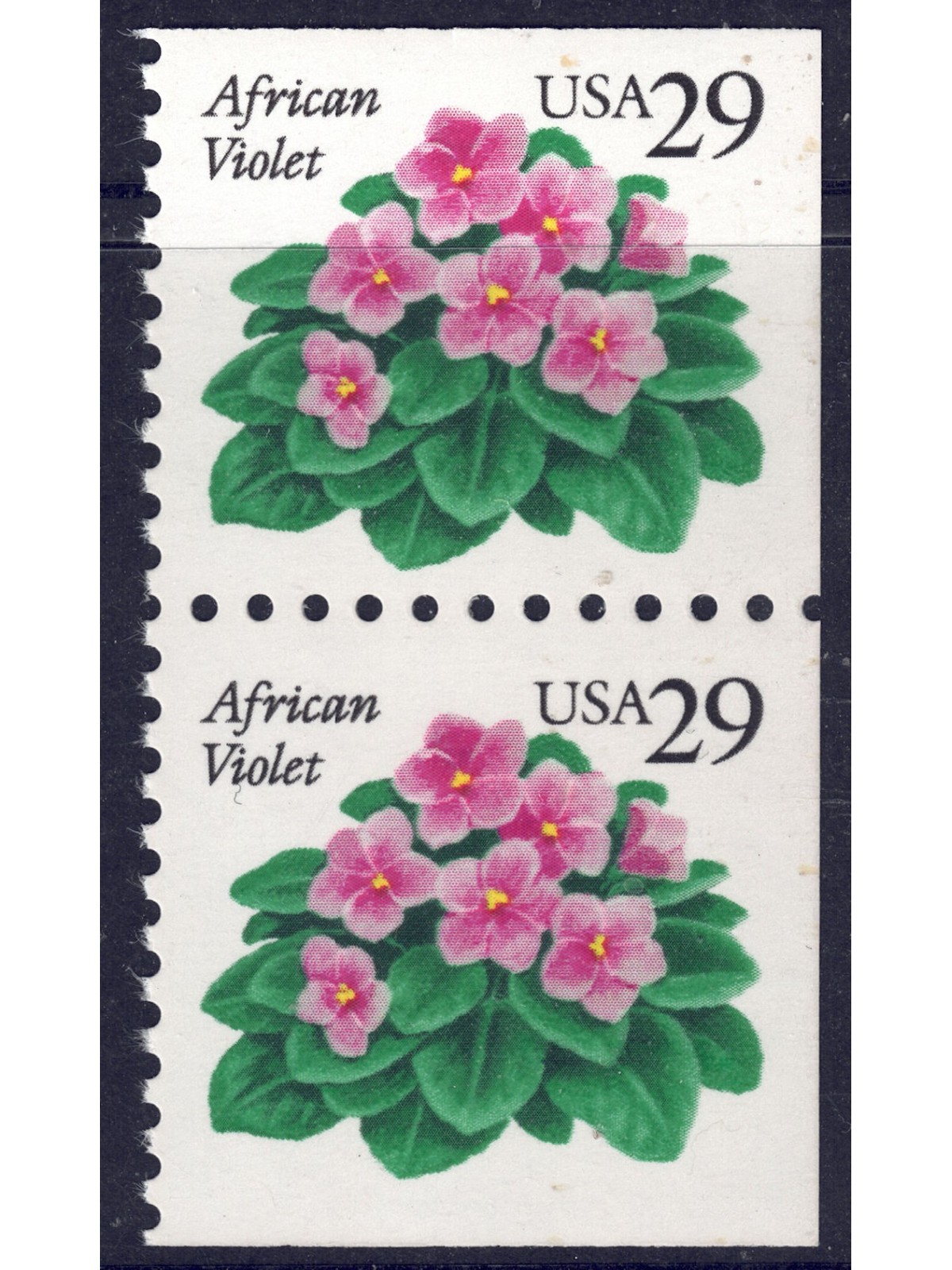 USA 1993 Violetta africana (□ lati contigui) 2v MNH**