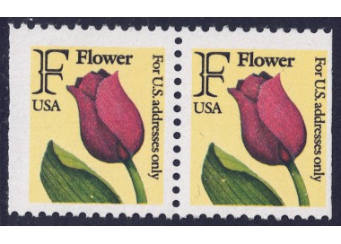 USA 1991 Home Service (F) □ vert. 2v MNH**