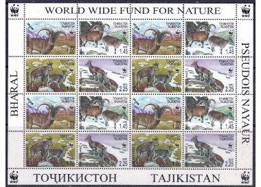 TAJIKISTAN 2005 Nature Protection m/s MNH**