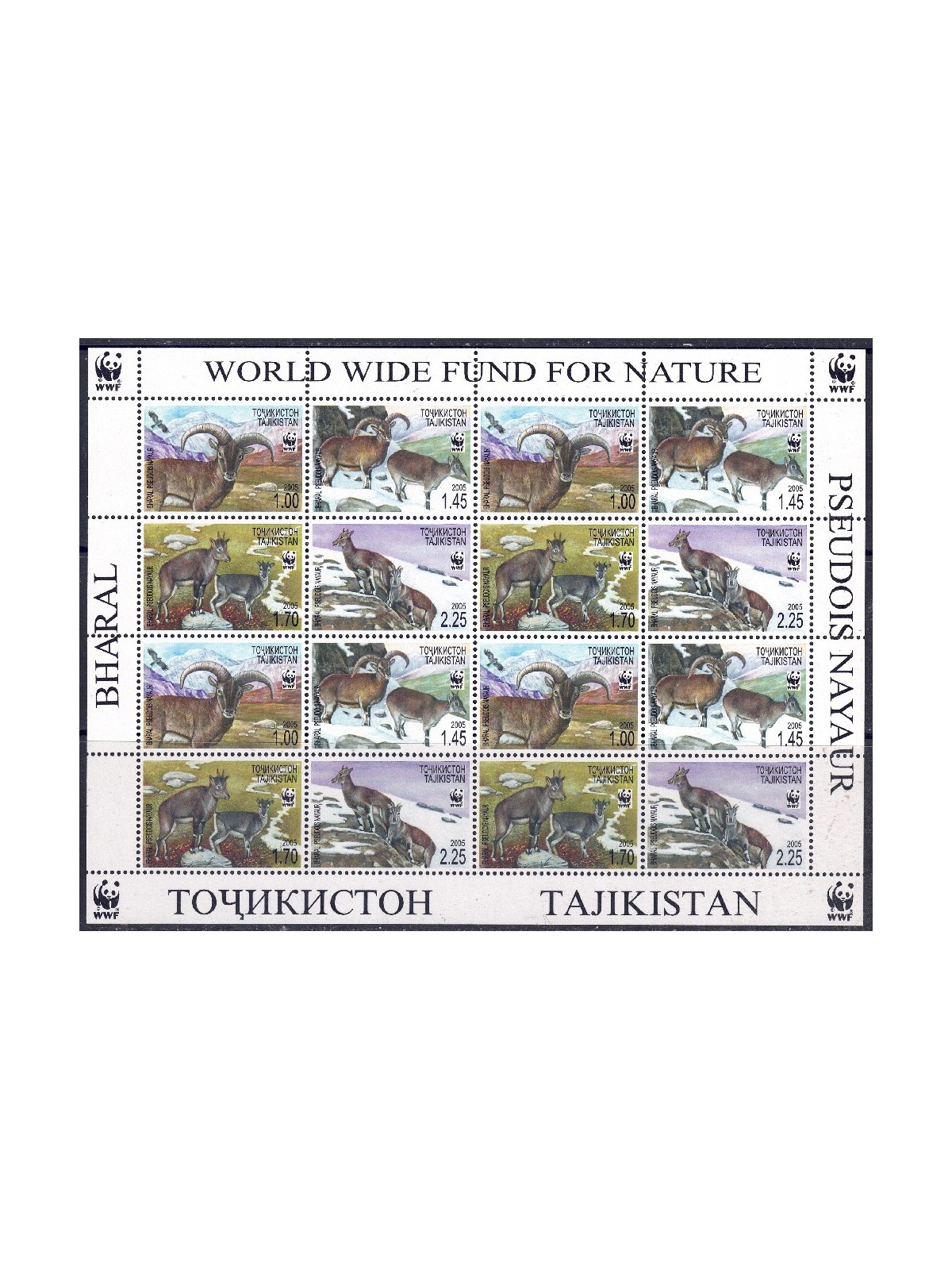 TAJIKISTAN 2005 Nature Protection m/s MNH**