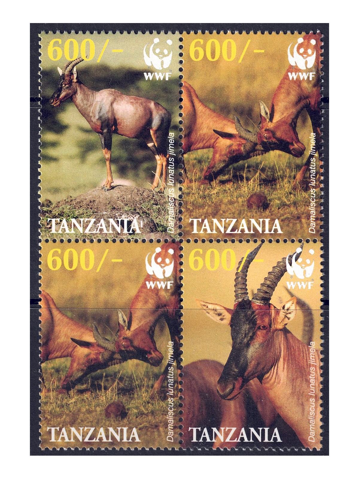 TANZANIA 2006 Fauna (antilopi) 4v MNH**
