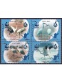 IRAN 2007 Fauna (Siberian Crane) 4v MNH**