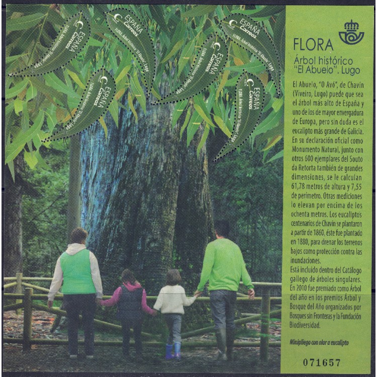 SPAGNA 2019 Flora (albero storico) MF MNH**