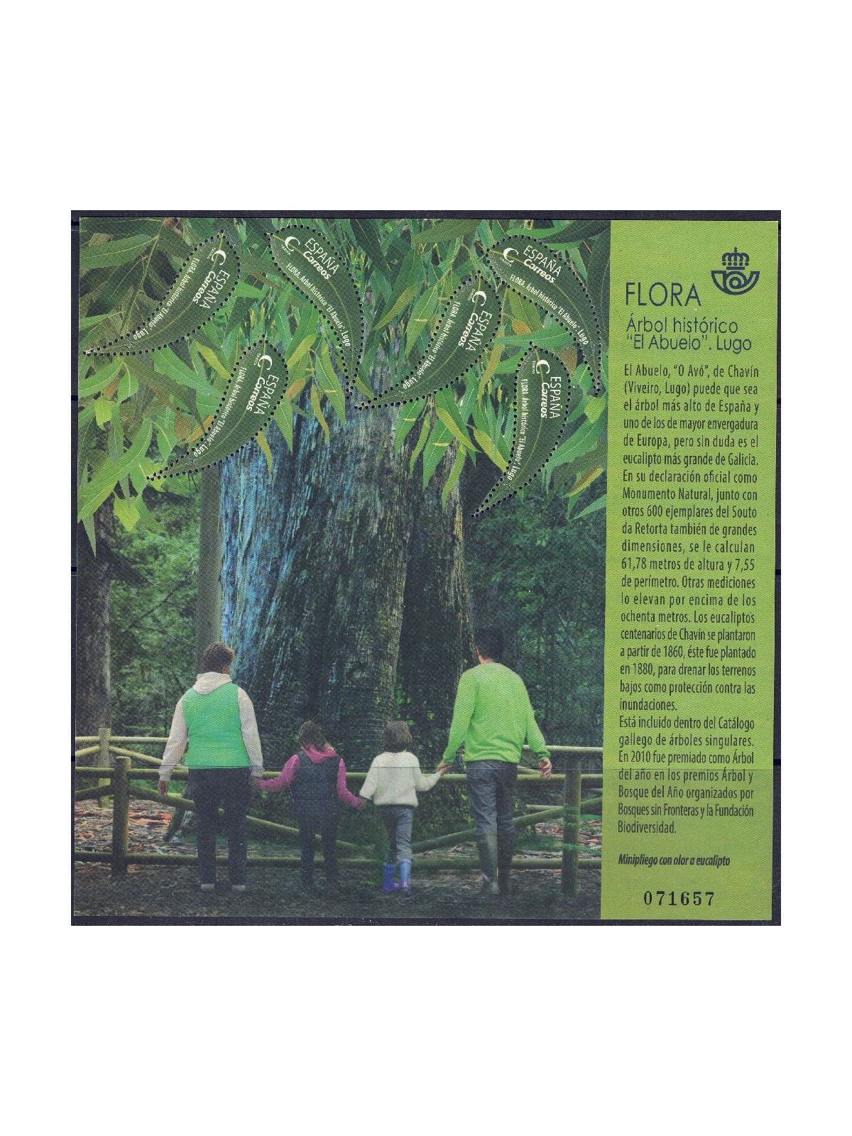 SPAGNA 2019 Flora (albero storico) MF MNH**