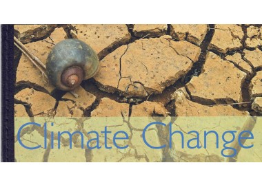 ONU NEW YORK 2008 Cambiamenti climatici LB MNH**