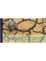 ONU NEW YORK 2008 Cambiamenti climatici LB MNH**