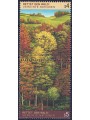 UN VIENNA 1988 Survival of the Forests 2v MNH**