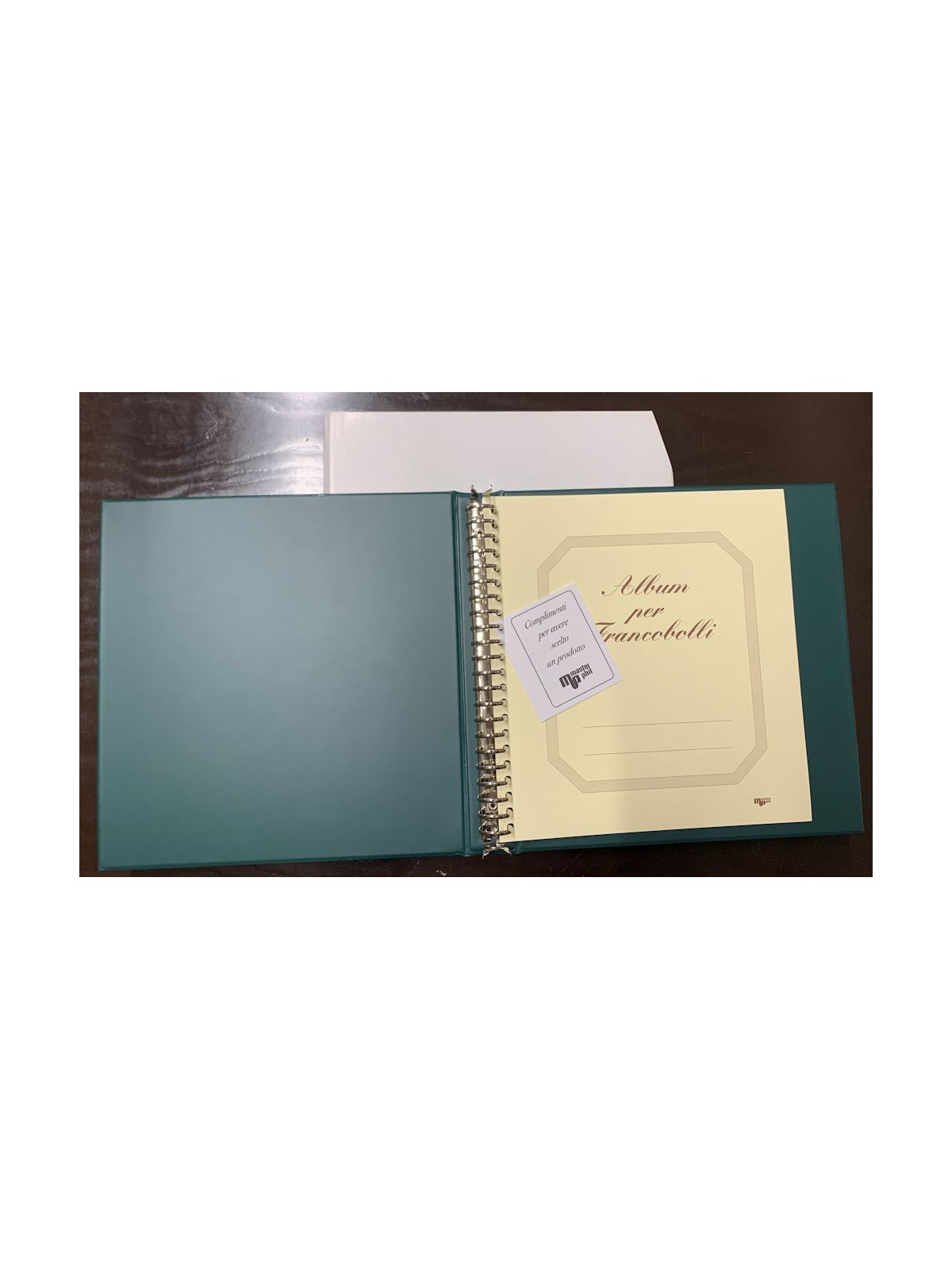 MASTERPHIL Folder with generic cardboard sleeve (green)