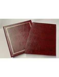 SECRIAN Briefcase with generic case (burgundy)