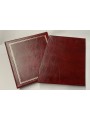 SECRIAN Briefcase with generic case (burgundy)