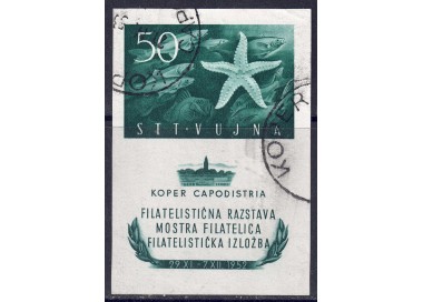 TRIESTE B 1952 Mostra filatelica di Capodistria BF us
