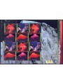 ONU VIENNA 2002 Anno della Montagna MF MNH**