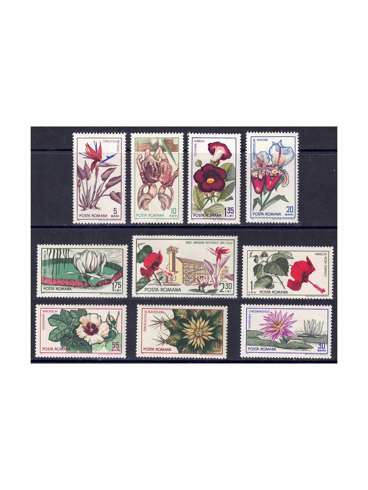 ROMANIA 1965 Botanical Garden of Cluj 10v MNH**