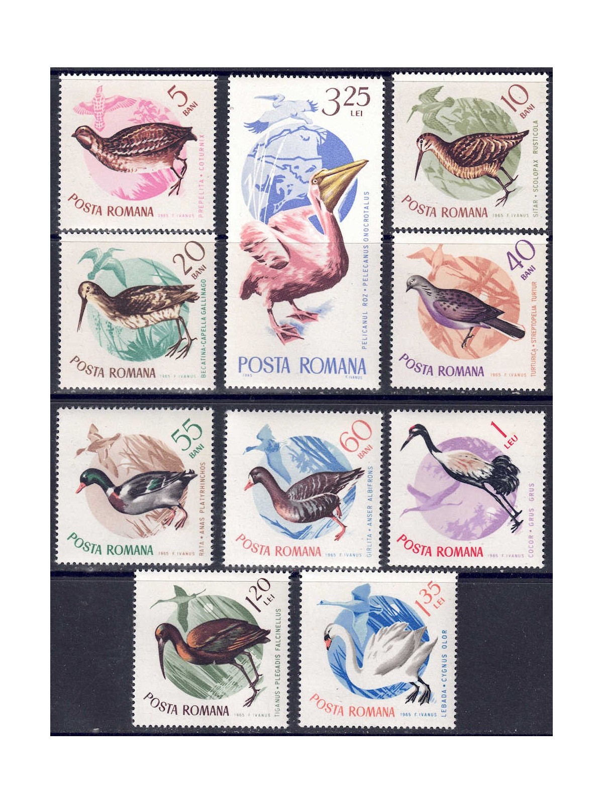 ROMANIA 1965 Fauna (Uccelli) 10v MNH**