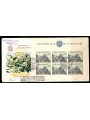 SAN MARINO 1958 FDC con BF  Panorama