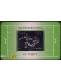 FRANCE 2011 Rugby World Cup (Silver) MNH**
