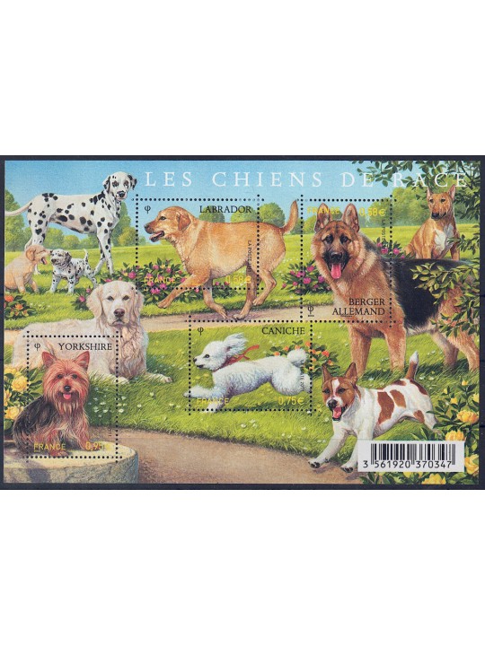 FRANCE 2011 Purebred dogs s/s MNH**