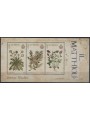 SAN MARINO 2023 Botanica Mirabilis s/s MNH**
