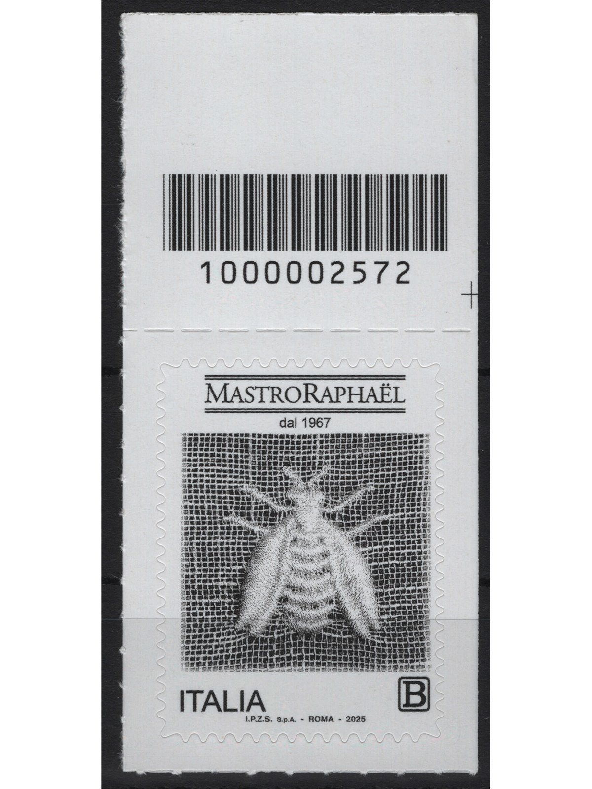 ITALIA 2025 Mastro Raphaël CB 2572 asd