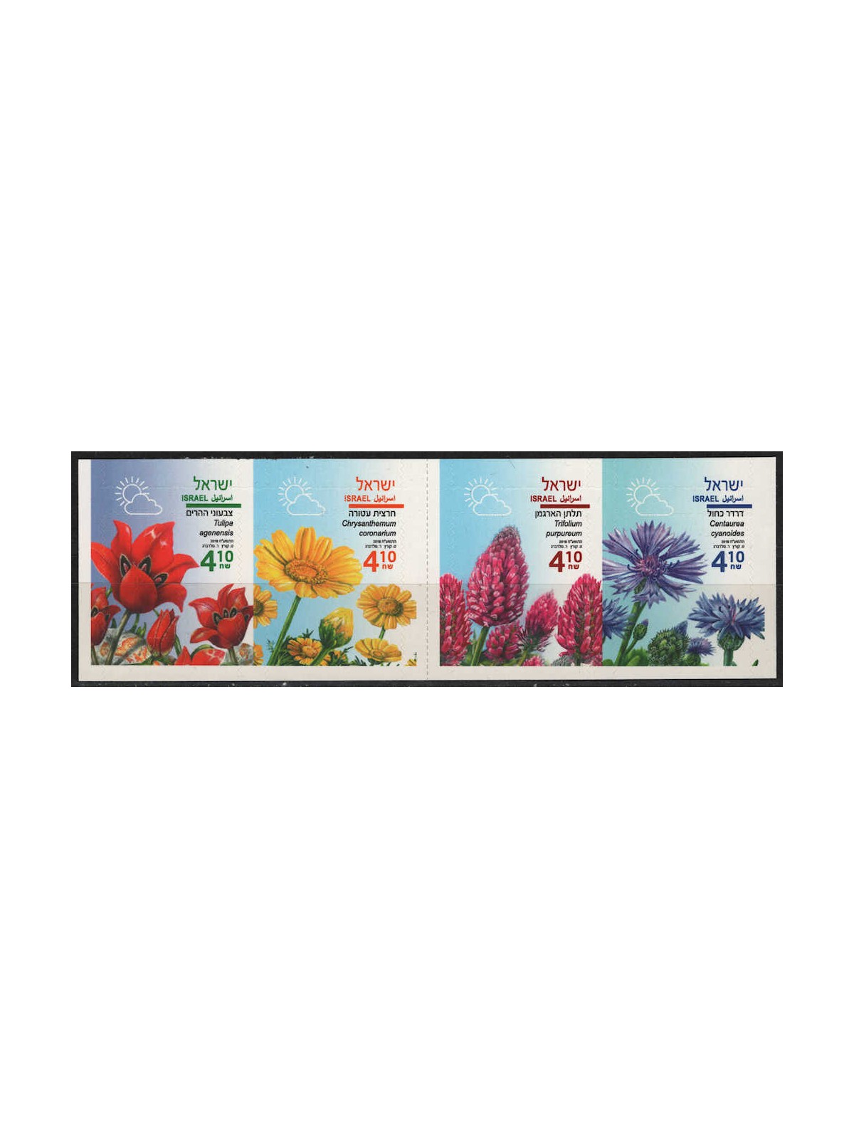 ISRAEL 2018 Spring Flowers (s-a) 4v MNH**